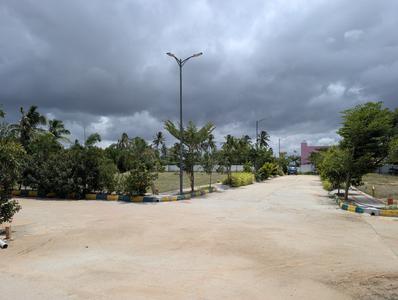 Residential Plot