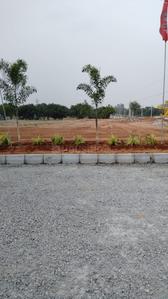 Raghavendra Colony Plot View 1