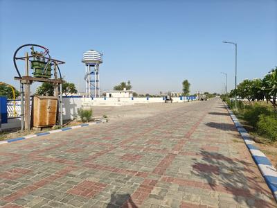 Vrb amber Plot View 1