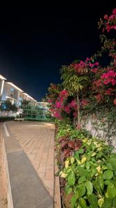 Image of 1100 Sq.ft 2 BHK Apartment / Flat for rent in Casagrand Boulevard, Chikkagubbi Village, Bengaluru for Rs. 38000