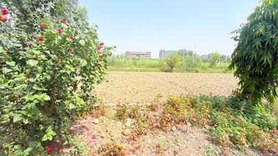 Image of 450 Sq.ft Residential Plot / Land for sale in Chhata, Mathura for Rs. 750000