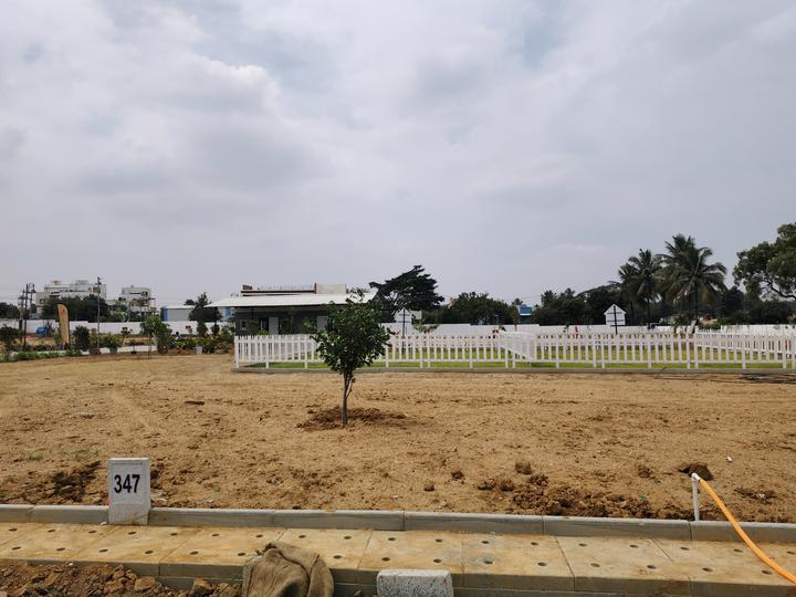 Ruby Sizzle Heritage Main Image 1