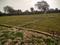 Aliabad Plot View 2