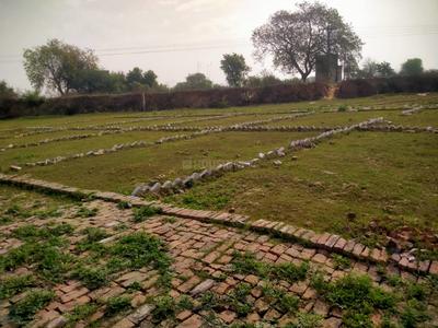 Aliabad Plot View 2