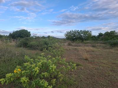 Mathur Plot View 1