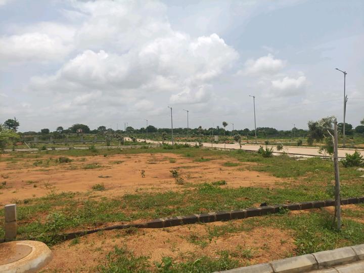 Prime Estates Main Image 1