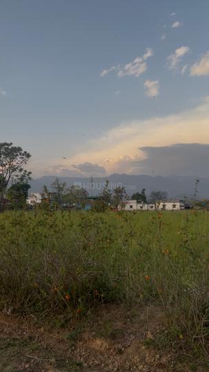 Phulsani Main Image 1