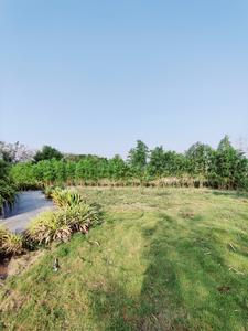 Image of 1386 Sq.ft Residential Plot / Land for sale in Chinthapally, Nalgonda for Rs. 1309000
