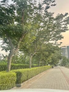 Residential Plot