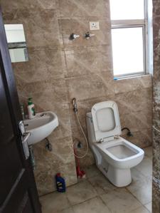 Image of 1500 Sq.ft 3 BHK Apartment / Flat for rent in Amrapali Castle, Chi V, Greater Noida for Rs. 19000