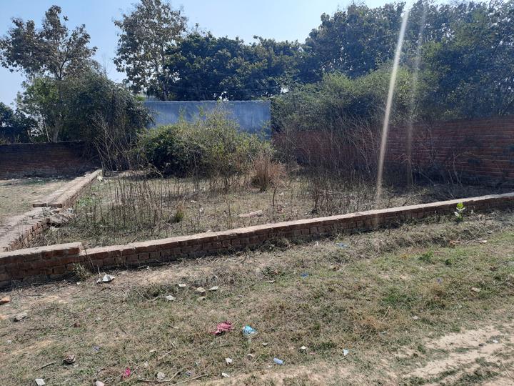 Ekta Nagar Main Image 1