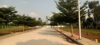 Residential Plot