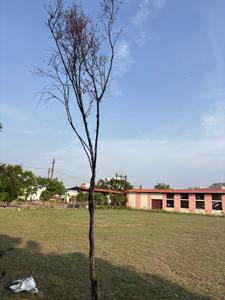 Image of 1275 Sq.ft 3 BHK Duplex for sale in Vedanta City Phase 2, Dunda, Raipur for Rs. 5500000