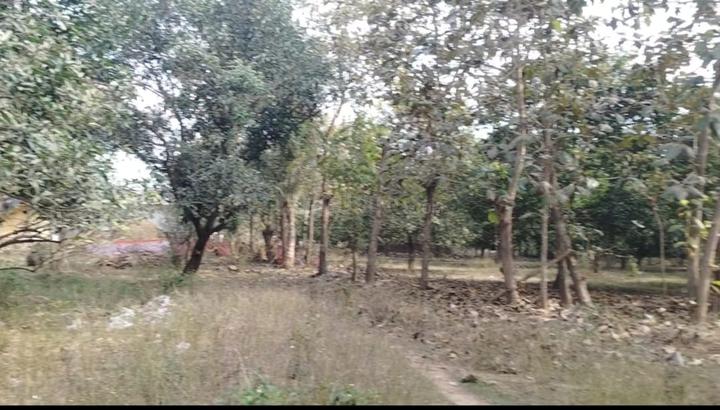 Tallavalasa Main Image 1