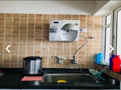 Kitchen Image of 1507 Sq.ft 3 BHK Apartment / Flat for rent in Wagholi Pune for Rs. 28000