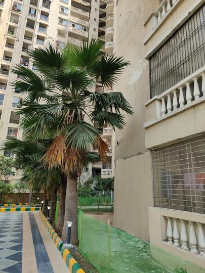 Amrapali Silicon City Main Image 1