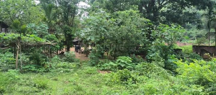 Sonapur Main Image 1