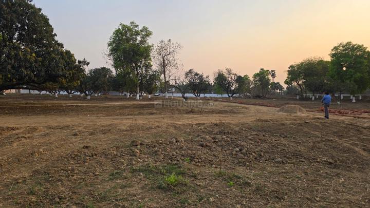 Sudha Om Main Image 1