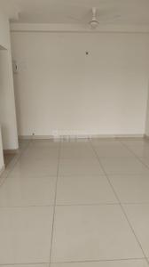 Hall Image of 820 Sq.ft 2 BHK Apartment / Flat for rent in Brigade Buena Vista, Bommenahalli Bengaluru for Rs. 40000