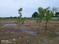 Bajrang Vatika Main Image 1