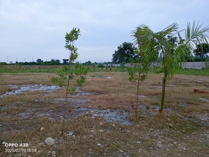 Bajrang Vatika Main Image 1