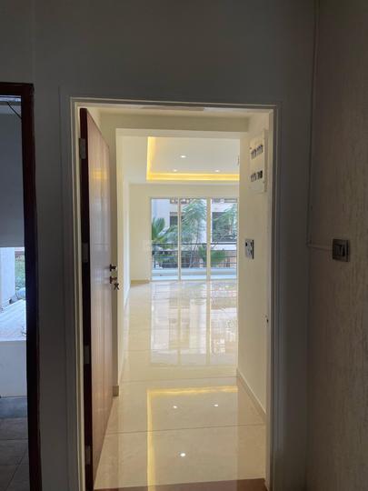 orchids Main Image 1