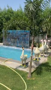 Image of 5500 Sq.ft 2.5 BHK Farm House for sale in Kanadiya, Indore for Rs. 22500000