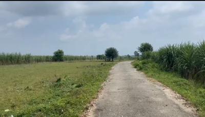 Jhabrawala Plot View 1