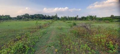 Image of 1200 Sq.ft Residential Plot / Land for sale in Dasanapura, Bengaluru for Rs. 2300000