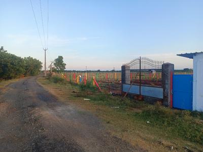Image of 11000 Sq.ft 10 BHK Farm House for sale in Pattanur, Viluppuram for Rs. 2000000