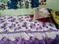 Bedroom Image of Vim colony  in Chandrasekharpur, Bhubaneswar 