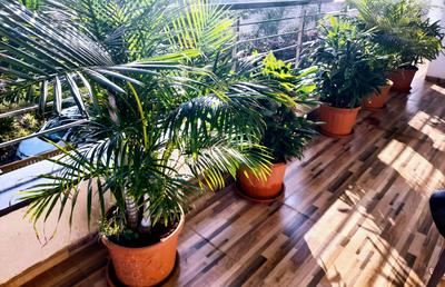 Balcony Image of 4500 Sq.ft 4 BHK Villa for sale in Malavli Lonavala for Rs. 19700000