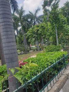 Residential Plot