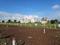 Wagholi Plot View 1