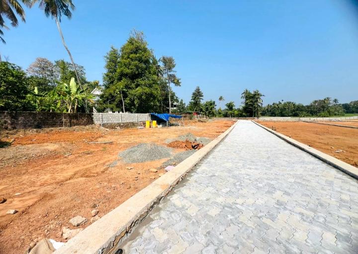 Angamaly Main Image 1