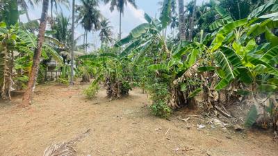 Image of 7405 Sq.ft Residential Plot / Land for sale in Chiyyaram, Thrissur for Rs. 12750000