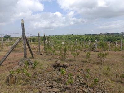 Image of 1213 Sq.ft Residential Plot / Land for sale in Lohegaon, Pune for Rs. 3616000