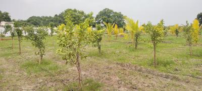 Image of 9600 Sq.ft Residential Plot / Land for sale in Walajabad, Chennai for Rs. 2496000