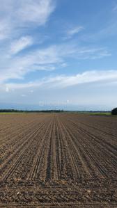 Image of 1089 Sq.ft Residential Plot / Land for sale in Uran, Navi Mumbai for Rs. 400000