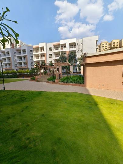 Vajram Essenza Main Image 1