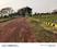 Balianta Plot View 2