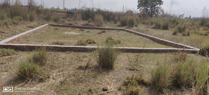 Jwalapur Main Image 1