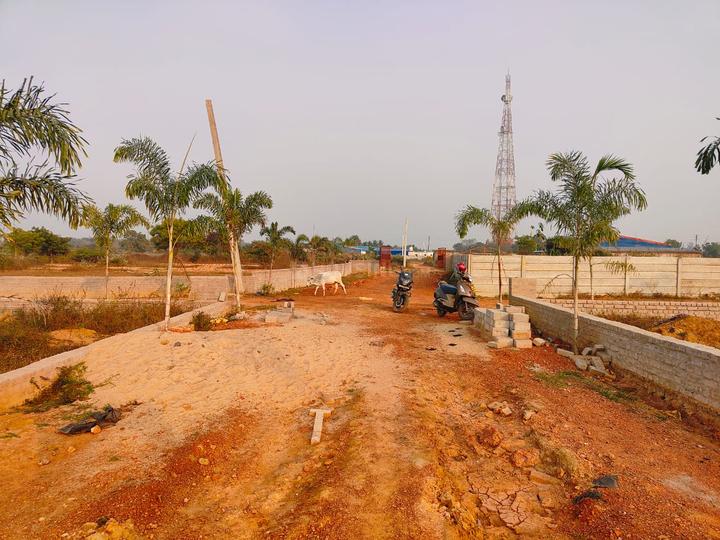 Residential 1500 Sqft Plot for sale at Chandaka, Bhubaneswar Property