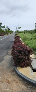 Image of 1200 Sq.ft Residential Plot / Land for sale in Chikkaballapura Town, Chikballapur District for Rs. 5500000