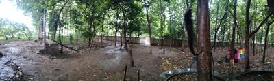 Image of 71041 Sq.ft Residential Plot / Land for sale in Kodiyat, Udaipur for Rs. 190000000