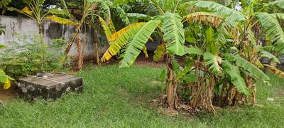 Image of 600 Sq.ft 1 BHK Independent House for sale in Parvathipuram, Nagercoil for Rs. 12000000
