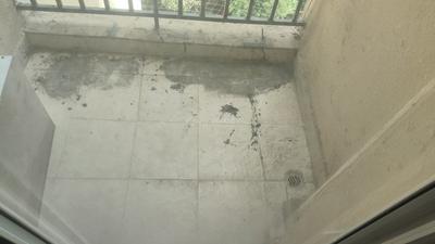 Balcony Image of 1240 Sq.ft 3 BHK Apartment / Flat for sale in Paramount Floraville, Sector 137 Noida for Rs. 14500000