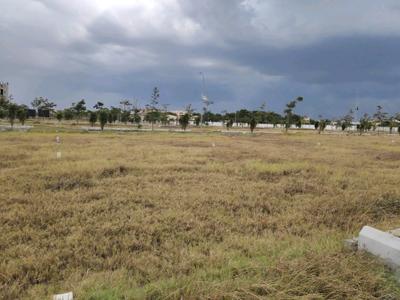 Residential Plot