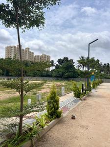 Residential Plot
