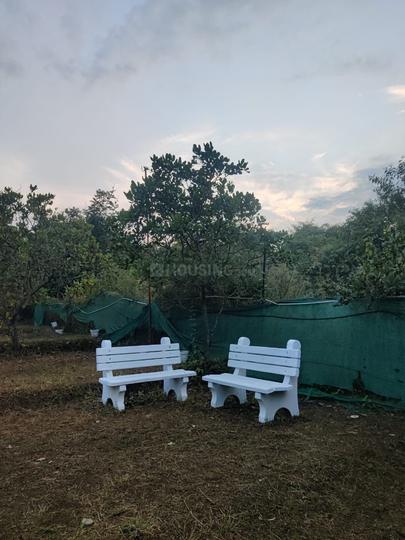 Arambol Main Image 1